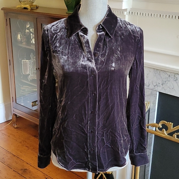 Nwt Pure Silk Velvet Shirt 